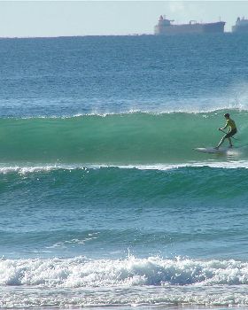 qld titles sup 113