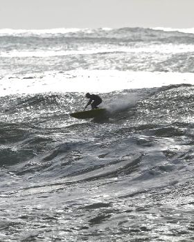 Stand Up Paddle