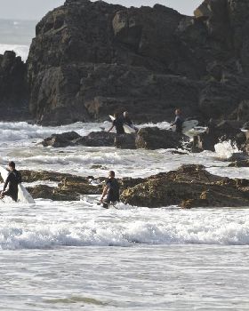 Stand Up Paddle