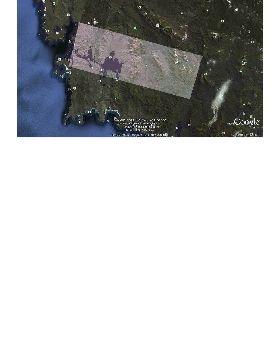Tassie
