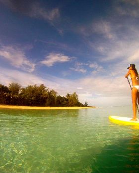 Sunny King Paddleboards