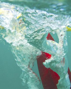 Aquaglide RhythmPaddle