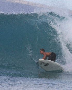 noah bottom.t hull ripper