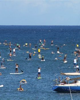 Stand Up Paddle