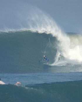 brushed carbon 9'1 x 29