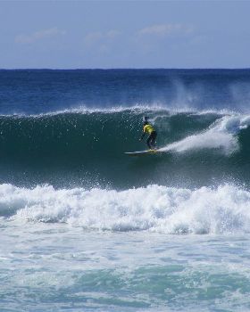 Stand Up Paddle