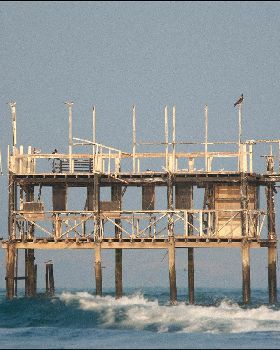 NAM09102011 1368