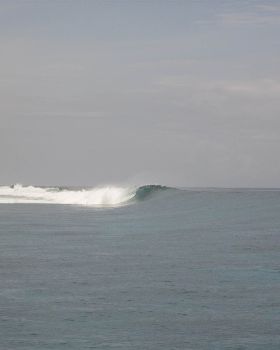 Picture 150