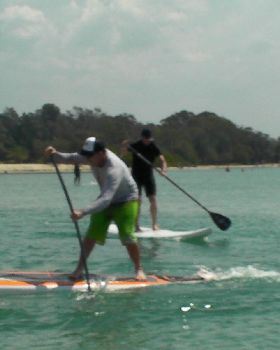 Gubbi Gubbi 068