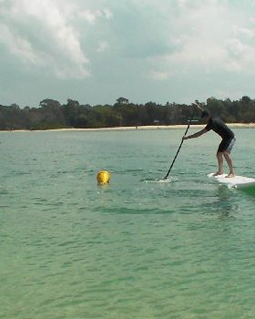 Gubbi Gubbi 083