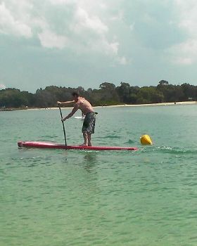 Gubbi Gubbi 084