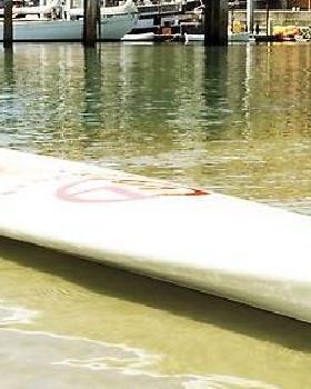 Super fast stingray salt