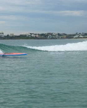 sup surf 126 jayne