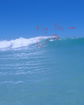 figjamin