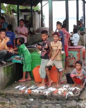 Telo Islands 2011