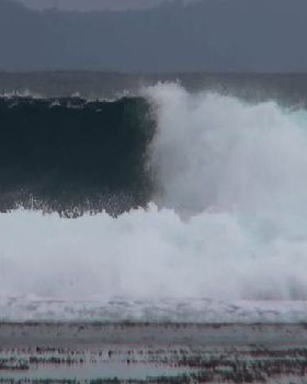 Wave that snapped the leggy