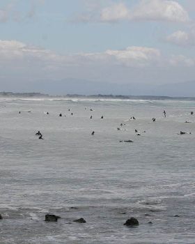 Stand Up Paddle