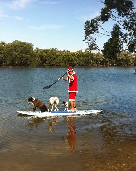 Stand Up Paddle