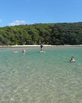 Stand Up Paddle