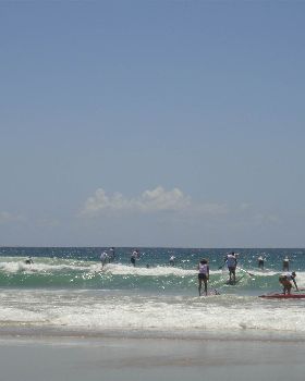 DSC00730