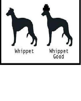 Whip It