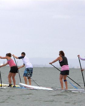 great melb paddle