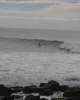 sc point 012