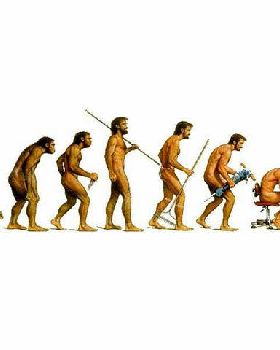 evolution