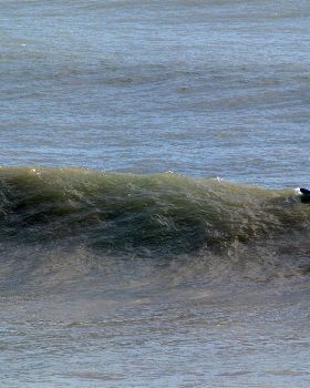 Santa Swell Christmas 2011 Moffat Headland