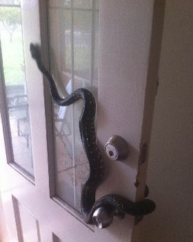 hate it when someone drops in without any notice