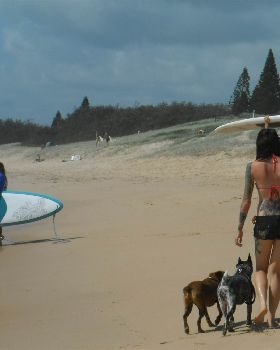 Stand Up Paddle