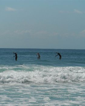 Stand Up Paddle