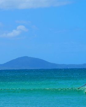 Stand Up Paddle