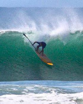 dogman mega drop bb 2011 yellow board