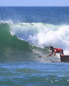 dogman mega bottom turn bb 2011 yellow board