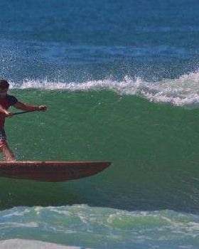dogman mega roundhouse cuttie bb 2011 yellow board