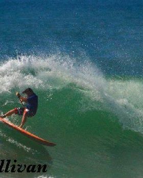 dogman mega gouge no2 bb 2011 yellow board