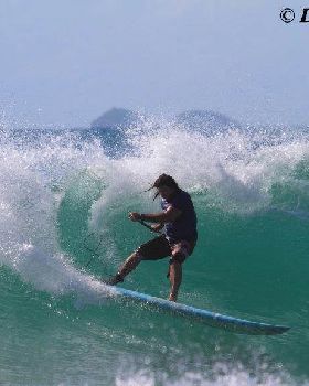 dogman mega gouge bb 2011 blue board
