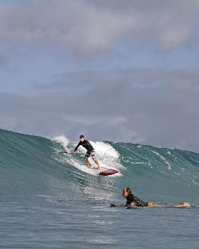 35129074-IMG 6497