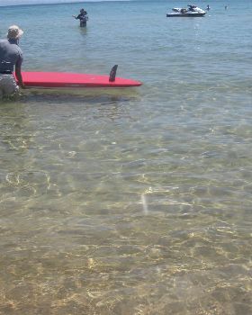 Safetybeach launch