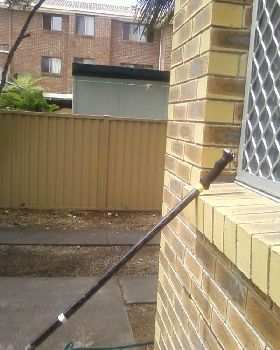 Photo0062