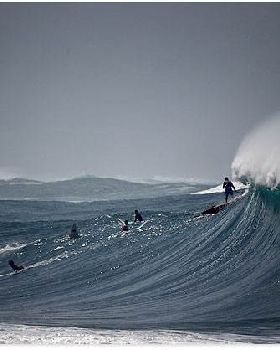 20110202-waimea-sup