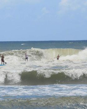 Stand Up Paddle