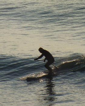 JanFeb2011 034