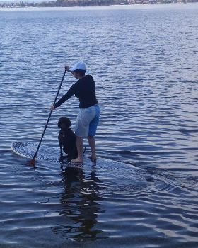 Stand Up Paddle
