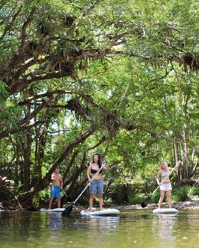 REEF FOUR MILE BEACH AND REEF PADDLE SESSIONS-SUMMER FLAT WATER