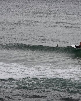 Stand Up Paddle