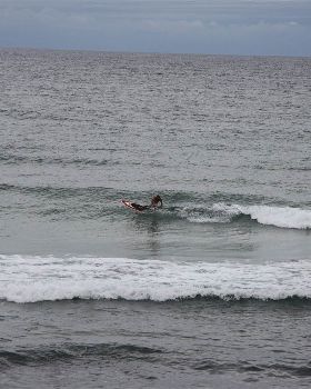 Stand Up Paddle
