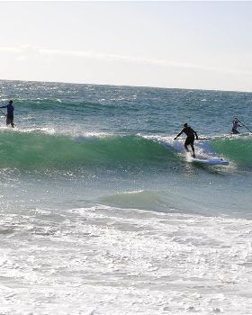  DSC0456