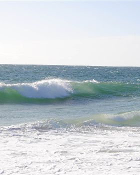  DSC0521